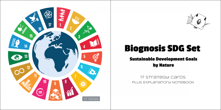 17 Sustainable Development Goals Icons & Set Contents